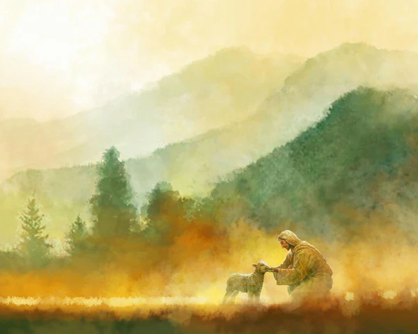 Lost Sheep